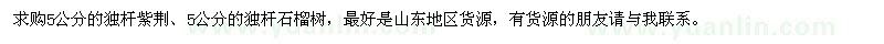 求購5公分的獨桿紫荊,獨桿石榴樹