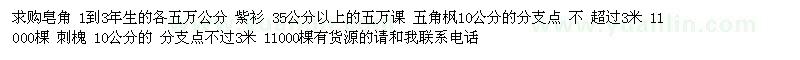 求購皂角 紫衫 五角楓 刺槐
