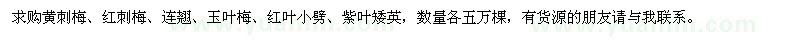 求購黃刺梅、紅刺梅、連翹、玉葉梅、紅葉小劈、紫葉矮英