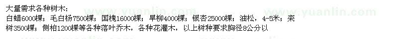 求購白蠟,毛白楊,側(cè)柏等各種樹木