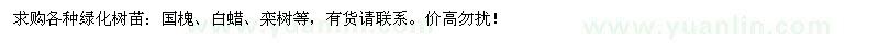 求購國槐、白蠟、欒樹等