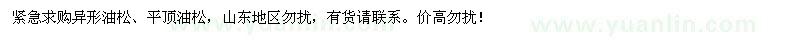 求購異形油松,平頂油松