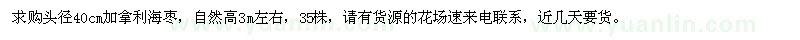 求購(gòu)頭徑40cm加拿利海棗