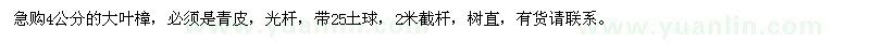 求購急4公分的大葉樟