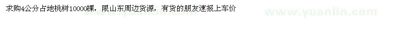 求購4公分占地桃樹