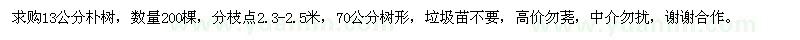 求購13公分樸樹