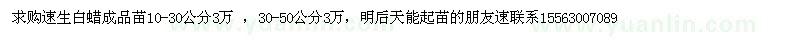 求購速生白蠟成品苗