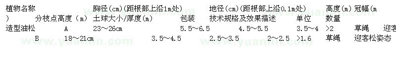 求購造型油松