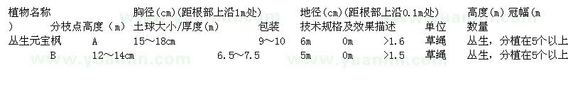 求購叢生元寶楓