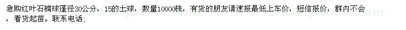 求購紅葉石楠球蓬徑30公分