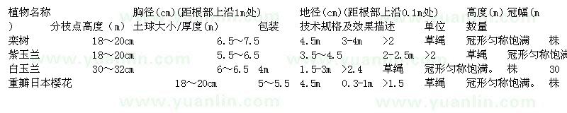 求購(gòu)欒樹(shù)、紫玉蘭、白玉蘭、重瓣日本櫻花