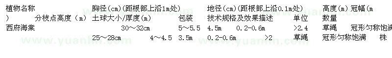 求購西府海棠