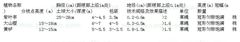 求購紫葉李、大山櫻、黃櫨