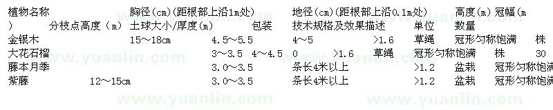 求購(gòu)金銀木、大花石榴、藤本月季、紫藤