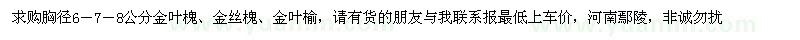 求購胸徑6－7－8公分金葉槐、金絲槐、金葉榆