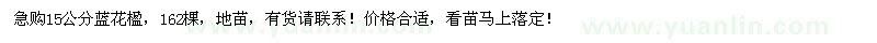 求購15公分藍花楹