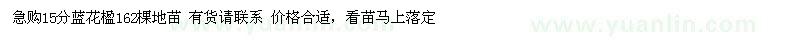 求購(gòu)15分藍(lán)花楹162棵地苗
