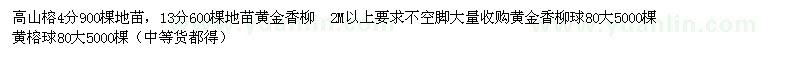 求購高山榕、黃金香柳、黃榕球