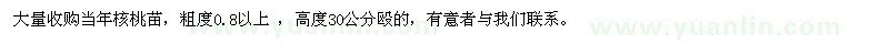 求購當年核桃苗