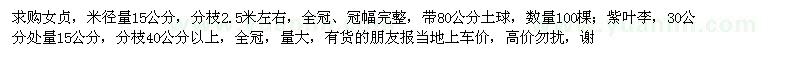 求購15公分的女貞,紫葉李