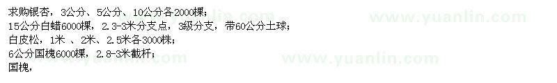 求購銀杏,白蠟,白皮松,國槐,紅葉李,皂角,個人