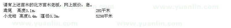求購鳶尾、小龍柏