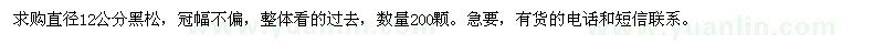 求購直徑12公分黑松