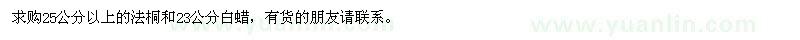 求購25公分以上的法桐和23公分白蠟,