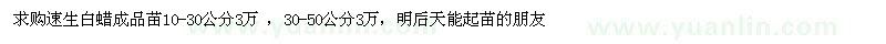求購(gòu)速生白蠟成品苗