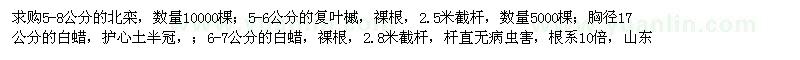 求購北欒,復葉槭,白蠟,黑松