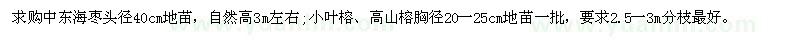 求購中東海棗,小葉榕,高山榕