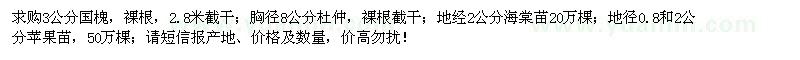 求購(gòu)國(guó)槐、杜仲、海棠苗、蘋(píng)果苗