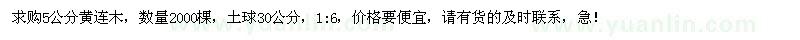 求購5公分黃連木2000棵