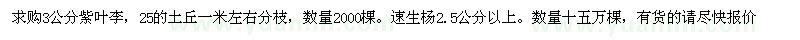 求購紫葉李，速生楊