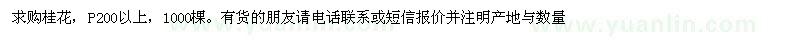 求購桂花