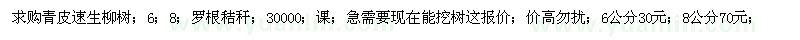 求購青皮速生柳樹