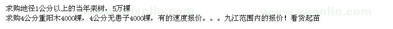 求購地徑1公分以上的當(dāng)年欒樹