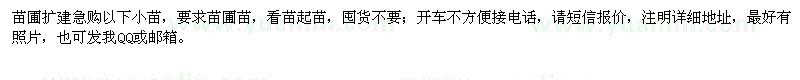 求購(gòu)雞爪槭,美國(guó)紅楓,紅櫸,西府海棠小苗