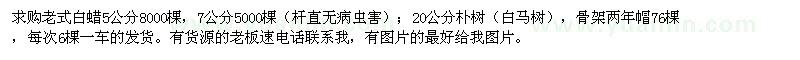 求購老式白蠟,樸樹