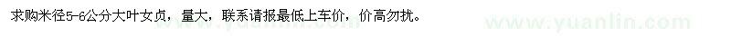 求購(gòu)米徑5-6公分大葉女貞