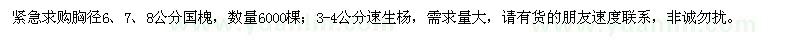 求購(gòu)國(guó)槐、速生楊