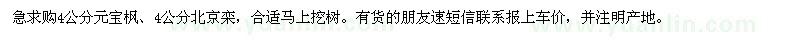 求購4公分元寶楓、北京欒