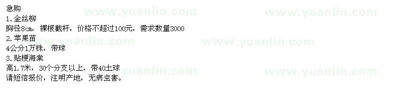 求購金絲柳,蘋果,貼梗海棠