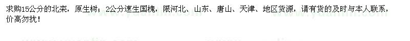 求購北欒、速生國槐