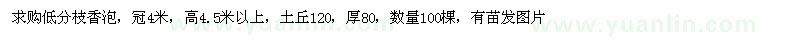 求購低分枝香泡