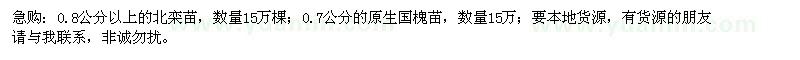 求購北欒苗、國槐苗