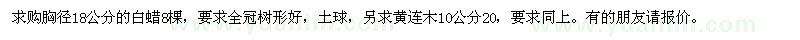 求購(gòu)白蠟,黃連木