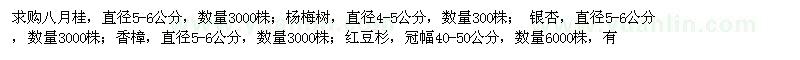 求購八月桂,楊梅樹,銀杏,香樟,紅豆杉