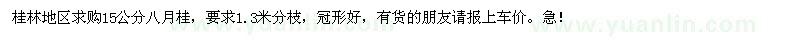 求購15公分八月桂