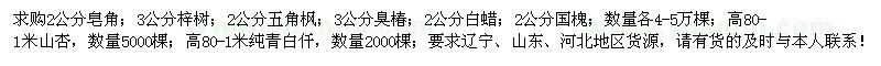 求購皂角、梓樹、五角楓、臭椿等苗木